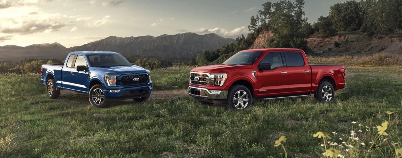 A blue and a red 2022 Ford F-150 is shown parked on a field.