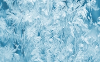 Coolant System Flush