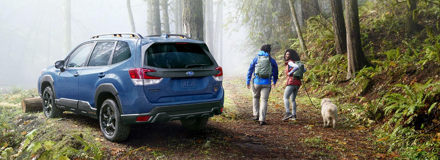 The 11 Best Camping Accessories For Your New Subaru Crosstrek And Forester