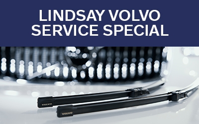 President's Day Special