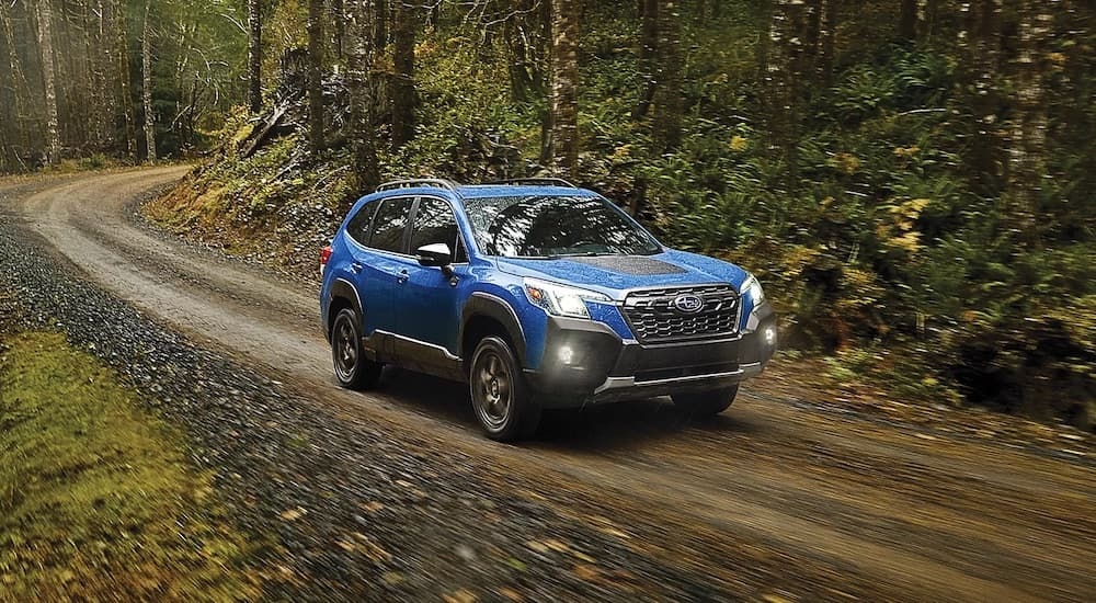 A blue 2024 Subaru Forester Wilderness driving from a car dealership in Rhinebeck.
