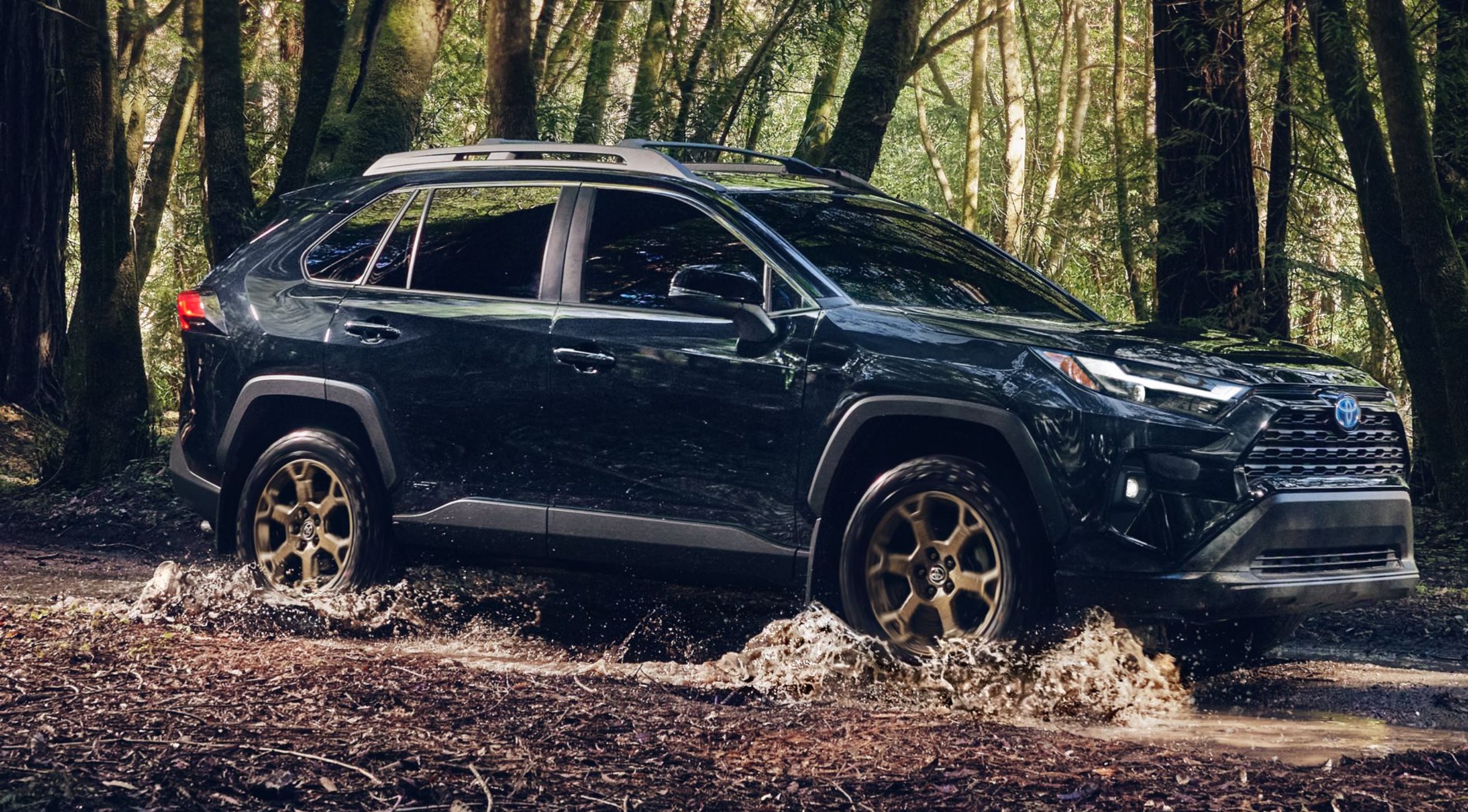 View Photos of the 2024 Toyota RAV4 Hybrid Woodland