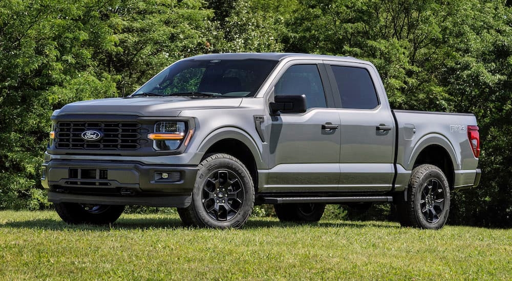 A grey 2024 Ford F-150 XL STX is shown from the front at an angle.