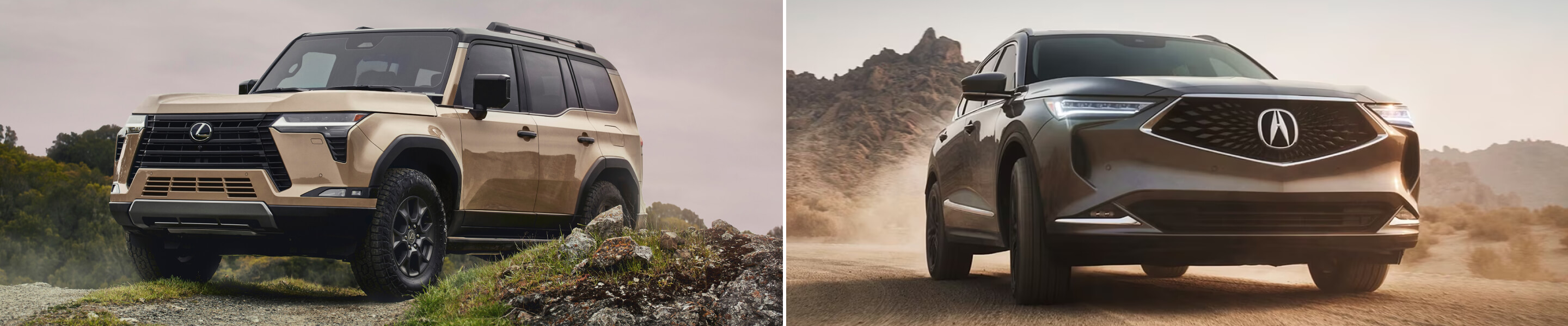 Lexus vs. Acura brand comparison