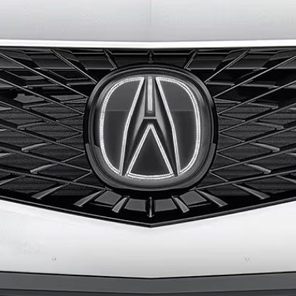 Illuminated Front Emblem