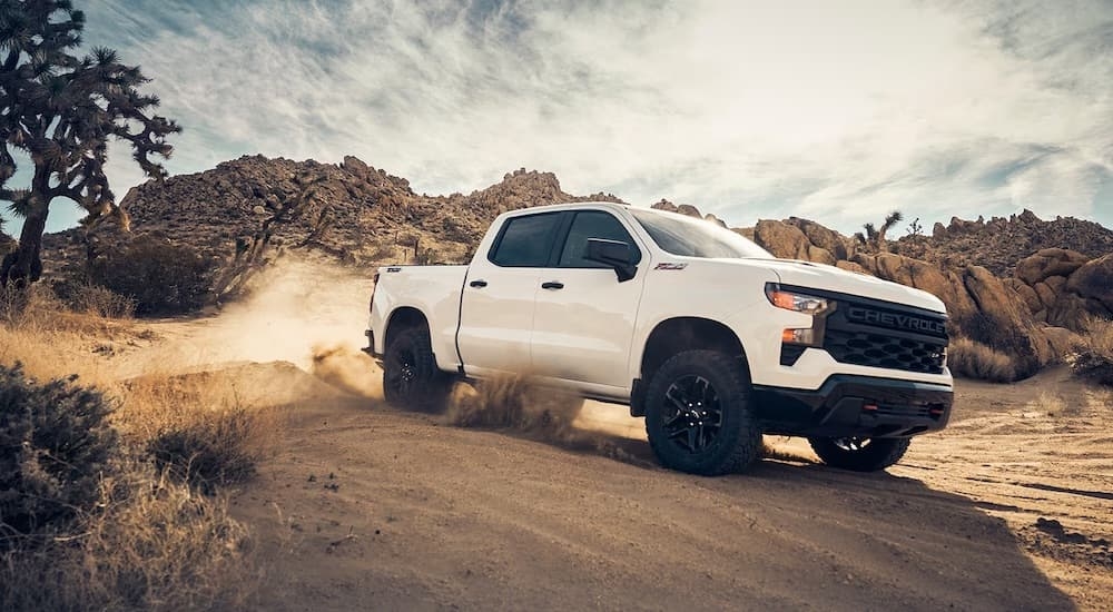 A white 2024 Chevy Silverado 1500 Z71 Trail Boss is shown from the front at an angle.