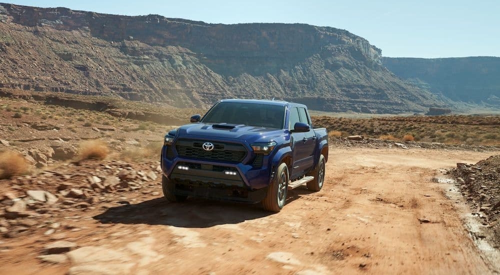 A blue 2024 Toyota Tacoma TRD Sport is shown from the front at an angle on a dirt trail after leaving a Toyota dealer near Franklin.