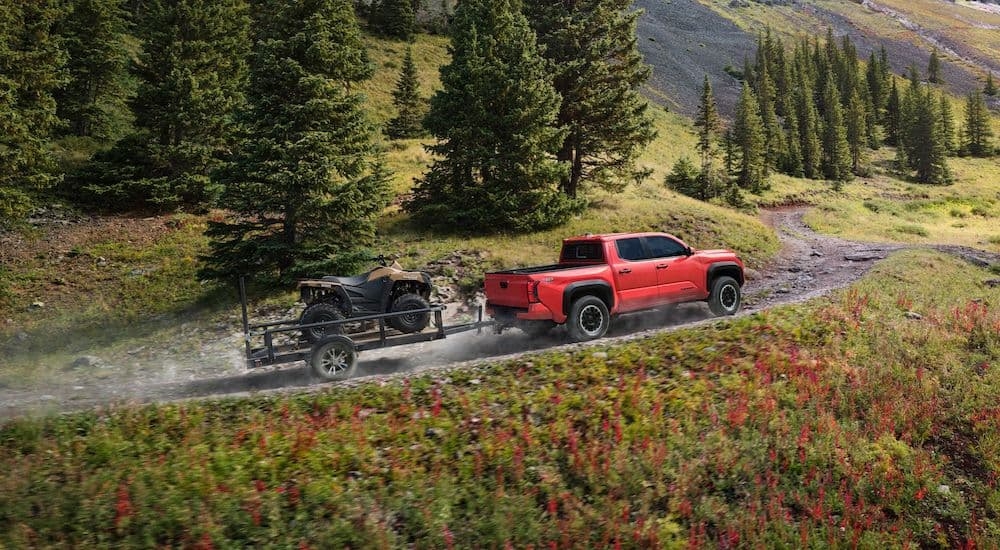 A red 2024 Toyota Tacoma TRD Off-Road is shown from the side while towing an ATV off-road.