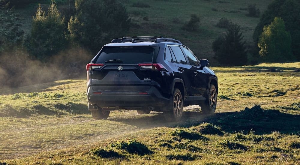 A blue 2024 Toyota RAV4 Hybrid Woodland is shown from the rear at an angle.