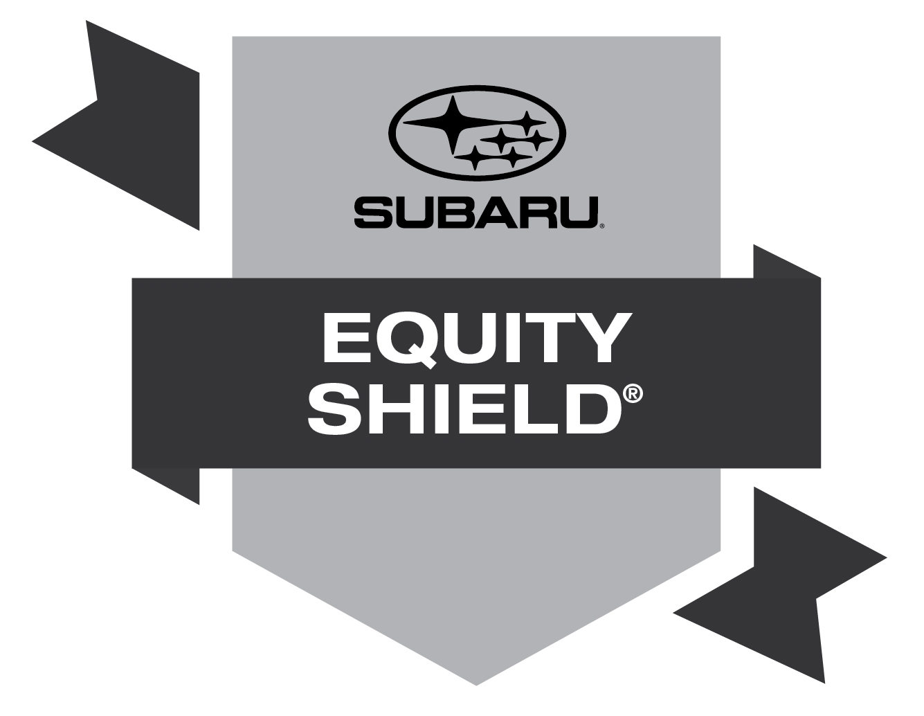 Subaru Equity Shielding
