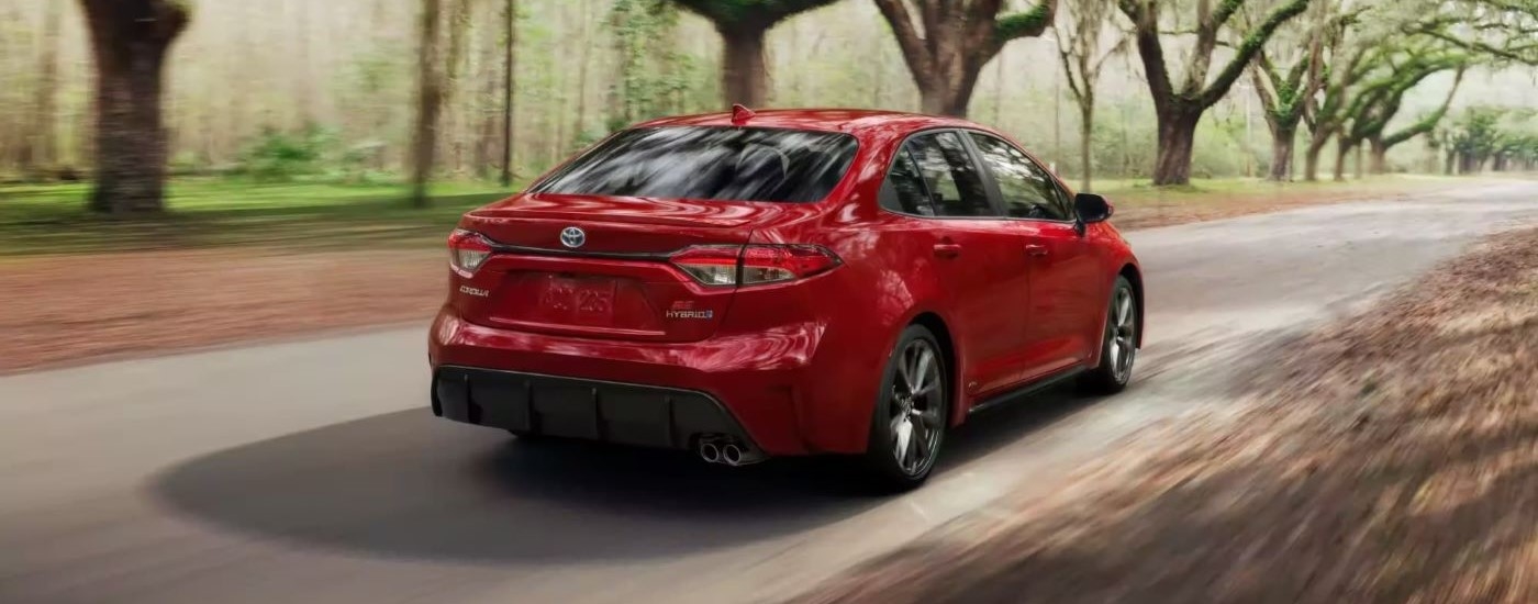 A red 2024 Toyota Corolla Hybrid SE is shown from behind driving on a tree-lined road.