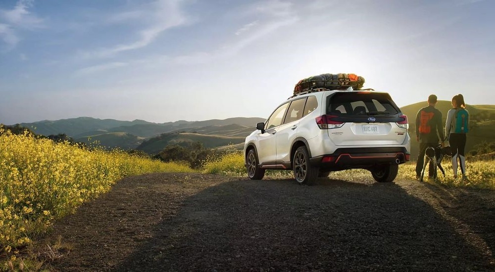 A white 2020 Subaru Forester is shown near hikers after leaving a used Subaru dealership near Red Hook.