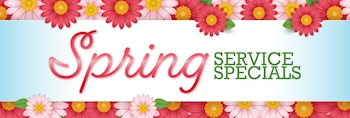 Spring Specials Package