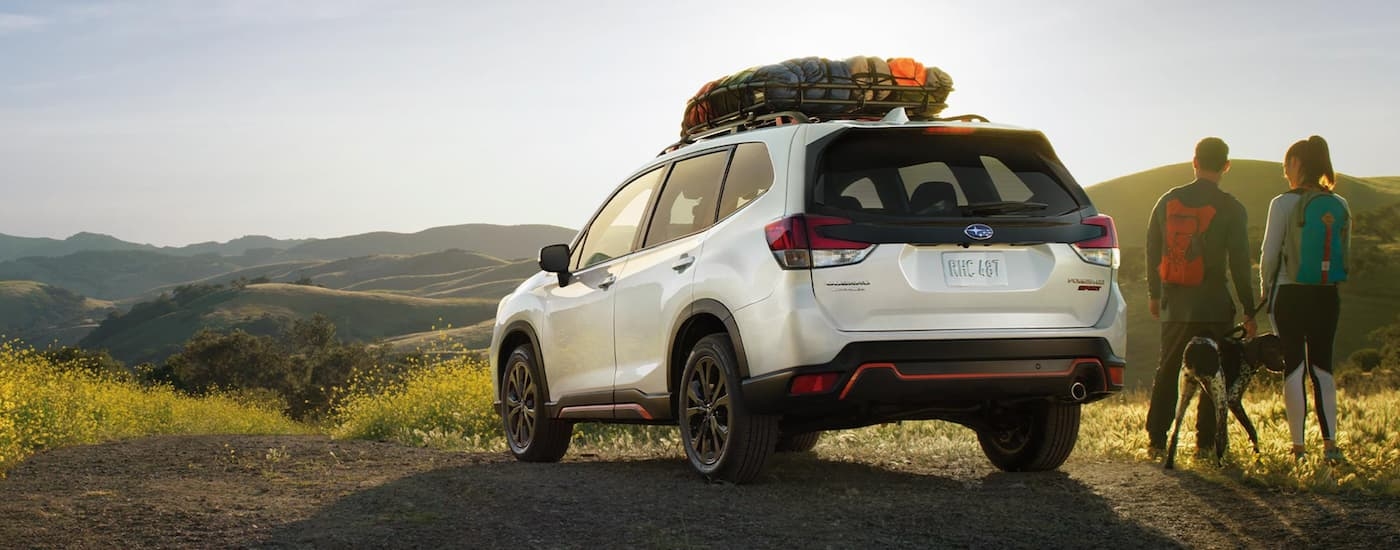 A white 2023 Subaru Forester for sale in Rhinebeck is shown from the rear at an angle.