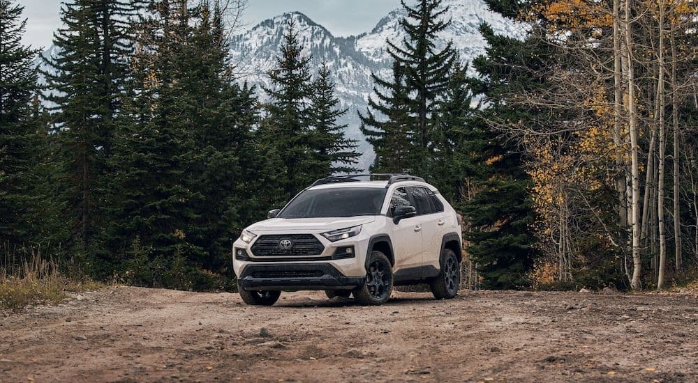 A white 2024 Toyota RAV4 TRD Off-Road is shown from the front at an angle after leaving a dealer that has a Toyota RAV4 for sale.