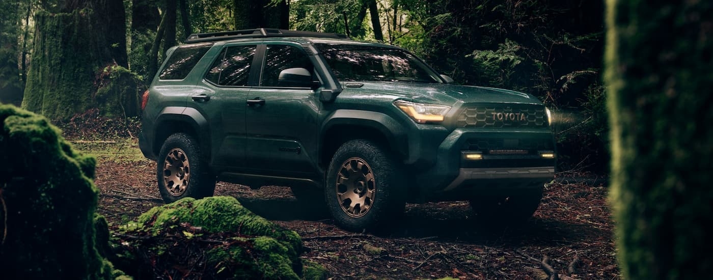 A green 2025 Toyota 4Runner Trailhunter parked in a mossy forest.