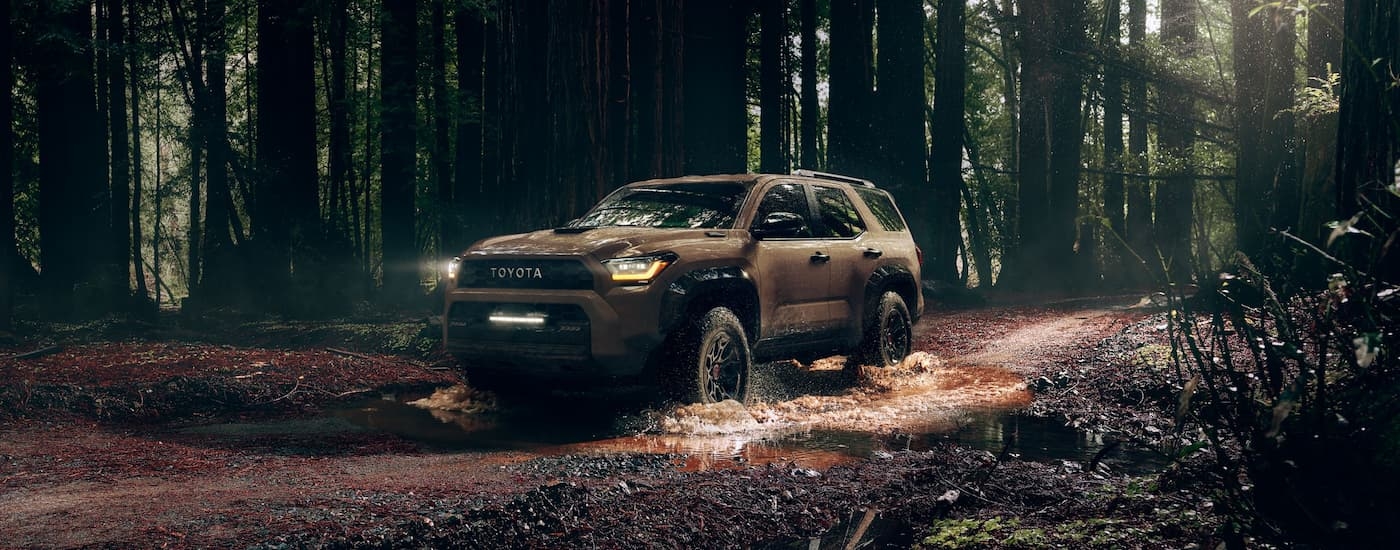 A brown 2025 Toyota 4Runner TRD Pro driving through a dark forest on a trail.