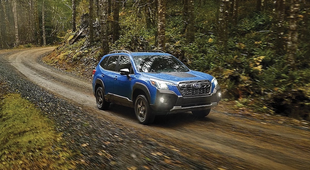 A blue 2024 Subaru Forester Wilderness for sale in Rhinebeck driving through a forest.