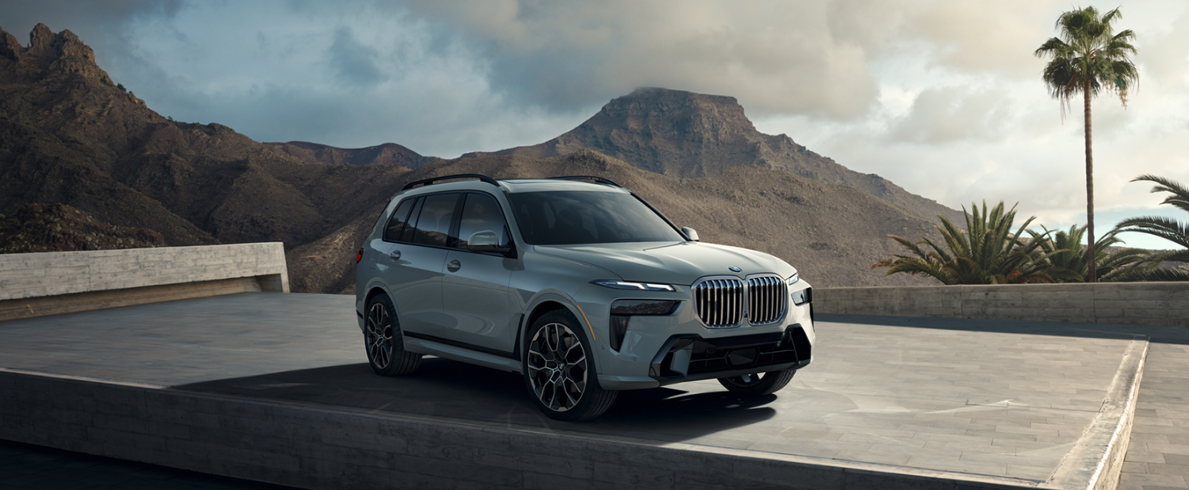 Gray BMW X7 parked with mountain and palm tree background