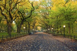 4 of the Best Scenic Drives to Take in Washington State