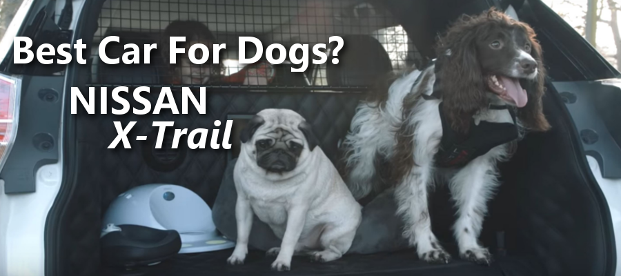Best Car for Dogs? Nissan Xtrail Could be the Answer