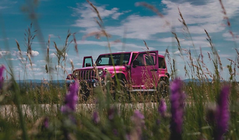 Spring Essentials: Elevate Your Car with These Must-Have Accessories