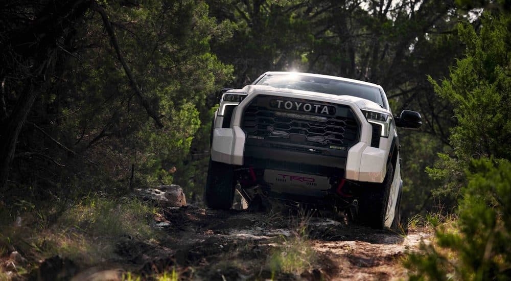 A white 2024 Toyota Tundra TRD Pro driving in a forest from a Toyota dealer near Scottsville.