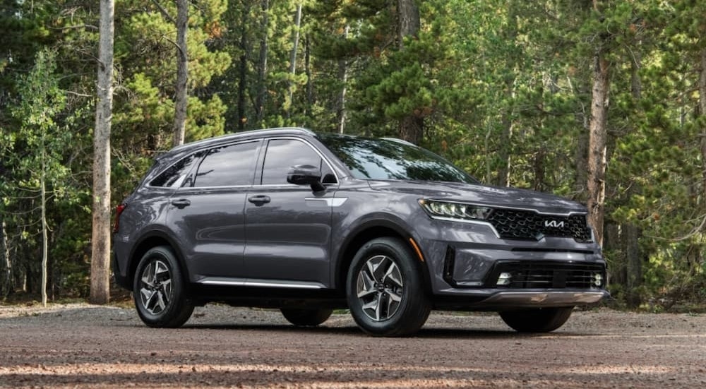 A grey 2024 Kia Sorento Hybrid parked off-road in a forest.