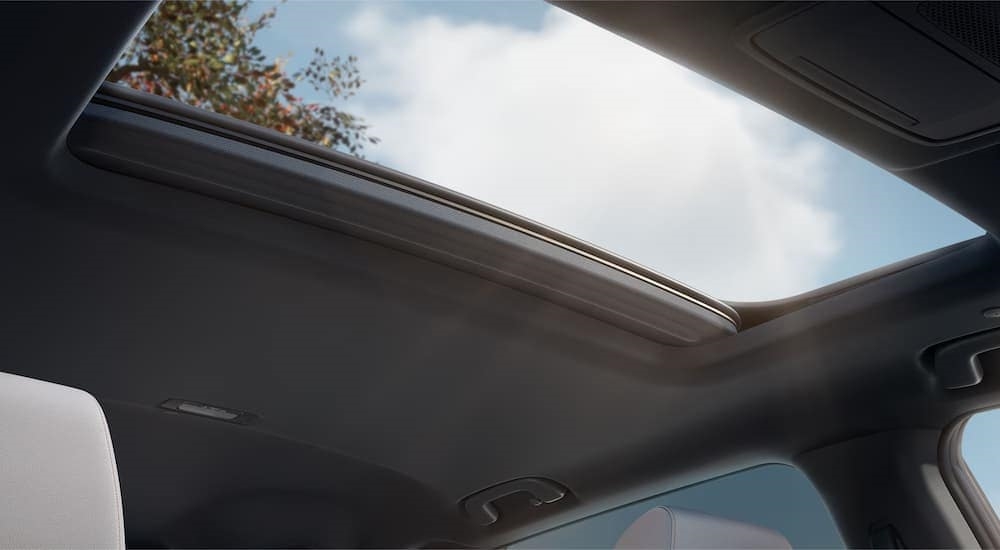 A view of the trees through the moonroof in a 2024 Honda CR-V Sport Touring.