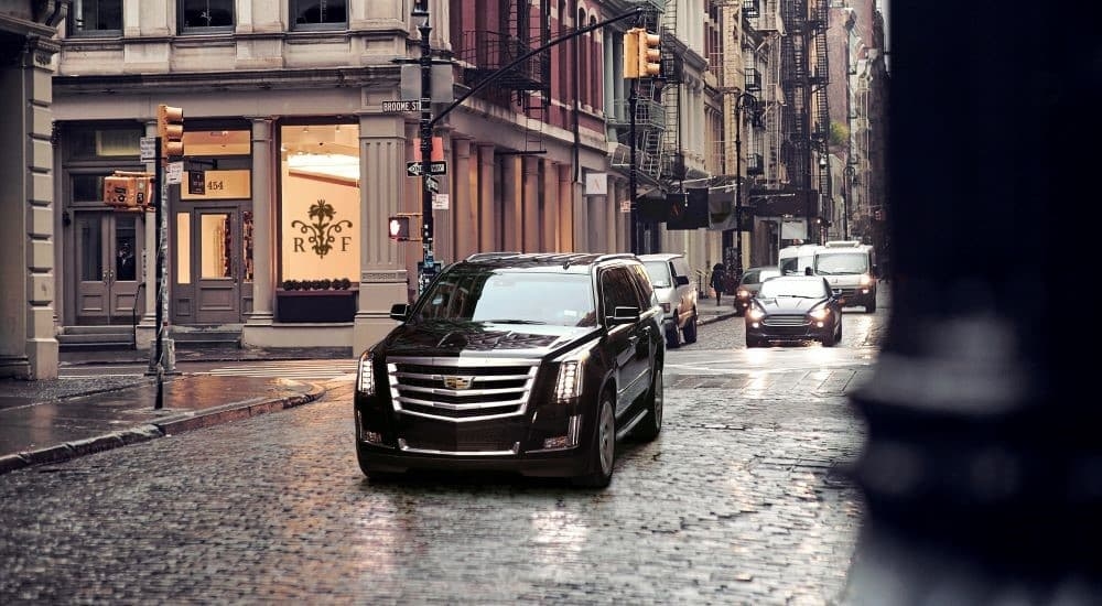 A black 2020 Cadillac Escalade is shown driving on a city street.