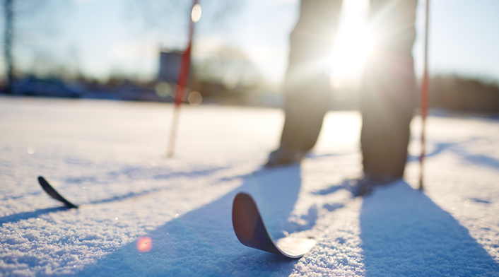 Snow Shoeing 