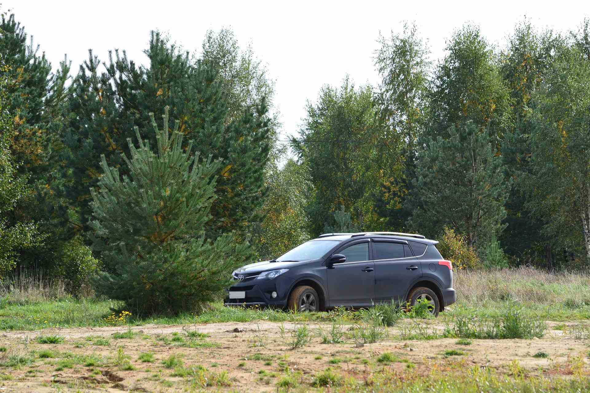 Used Toyota RAV4 camping near Rocky Mountains.