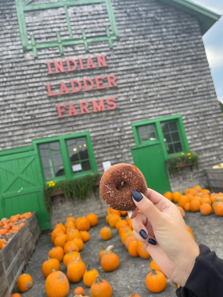 Indian Ladder Farms Cider Donut