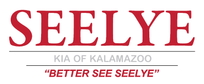 Seelye Automotive Kalamazoo MI