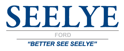 Seelye Automotive Kalamazoo MI