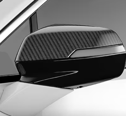 Door Mirror Cover – Carbon Fiber