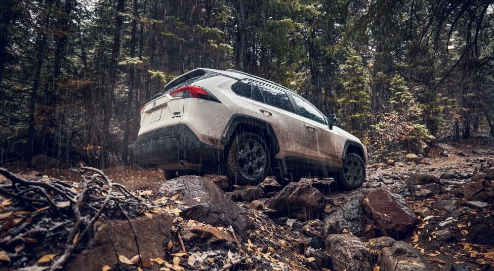 A white 2024 Toyota RAV4 TRD is shown from the rear at an angle.