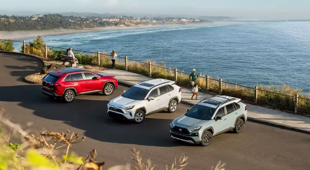 A red, a white, and a blue 2022 Toyota RAV4 are parked overlooking the ocean.