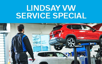 Lindsay Spend & Save Special