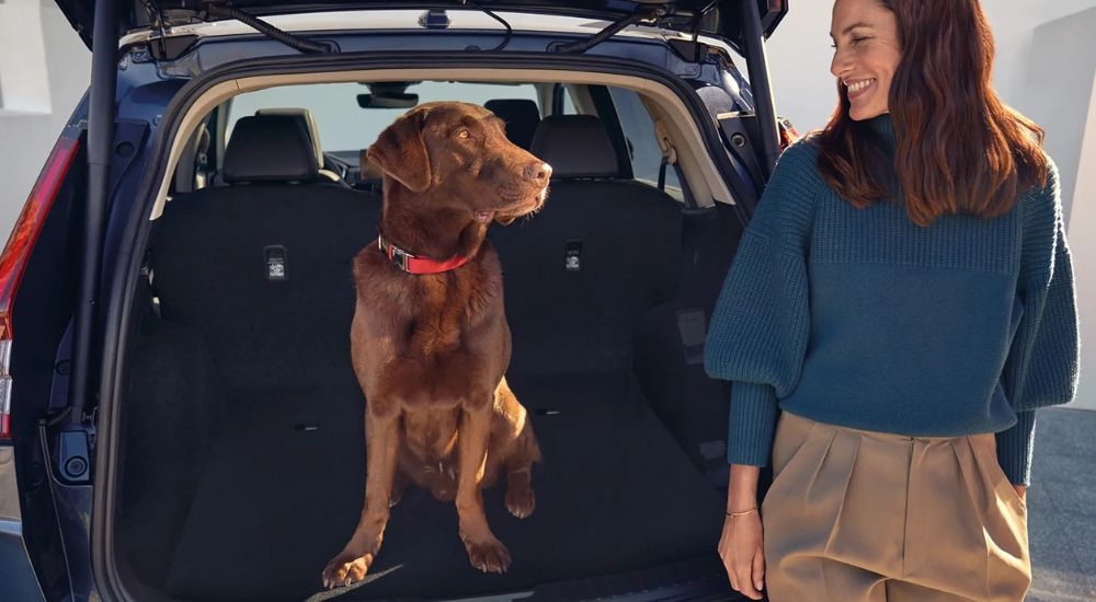 A dag is shown in the trunk of a 2025 Honda CR-V Hybrid.