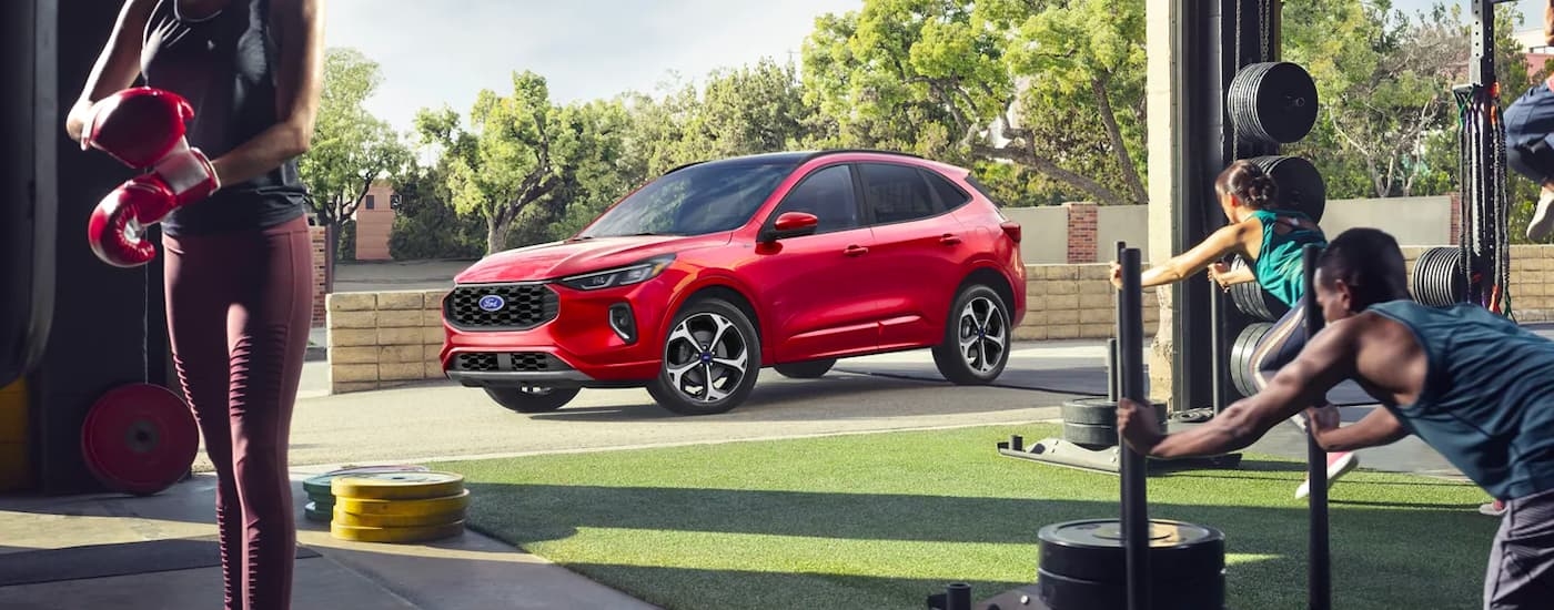 A red 2024 Ford Escape ST-Line Elite parked outside a gym.