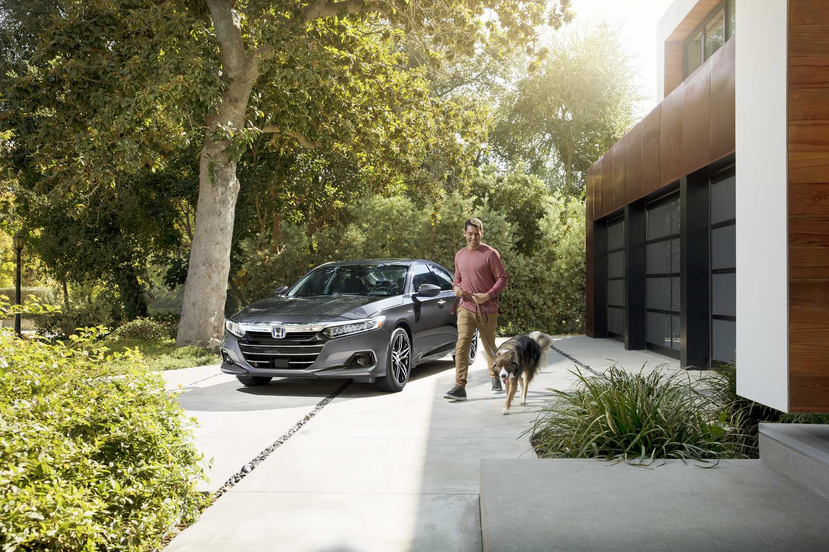 Su texto alternativo aquí