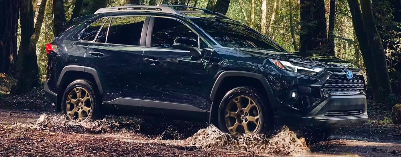 A dark blue 2024 Toyota RAV4 Hybrid Woodland Edition driving through a forest.