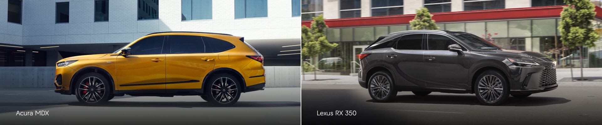 Acura MDX Vs. Lexus RX 350 - Which Is The Better Buy For 2024?