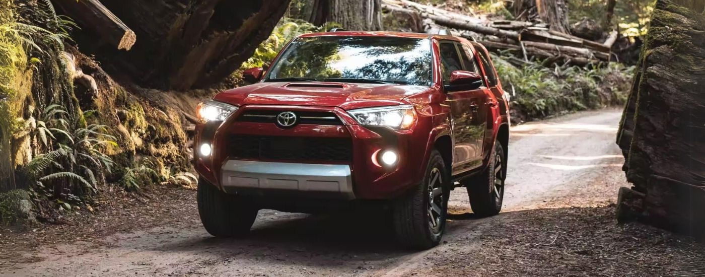 A red 2024 Toyota 4Runner TRD Off-Road driving down a dirt road.