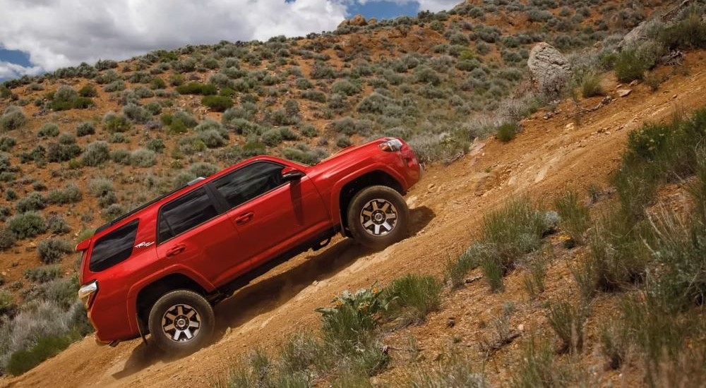 Side angle view of a red 2024 Toyota 4Runner TRD Off-Road driving up a hill.