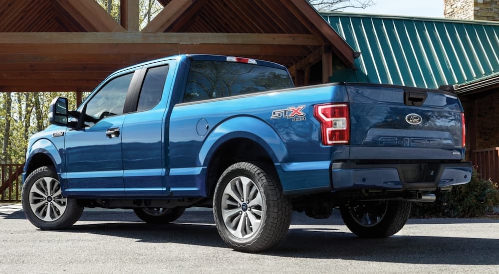 Rear view of a blue 2024 Ford F-150 STX parked outside a building.