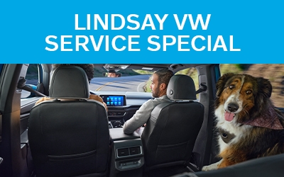 Spring Road Trip Special