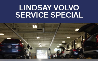 Holiday eCommerce Special