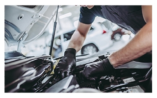 Summer Tune-Up